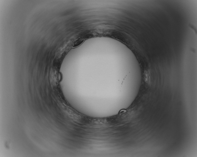 X0000103470915200809261901