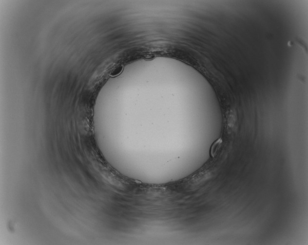 X0000103470916200809261901