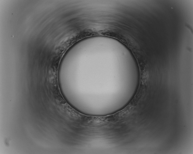 X0000103470917200809261901