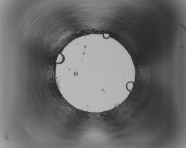 X0000103470918200809261901