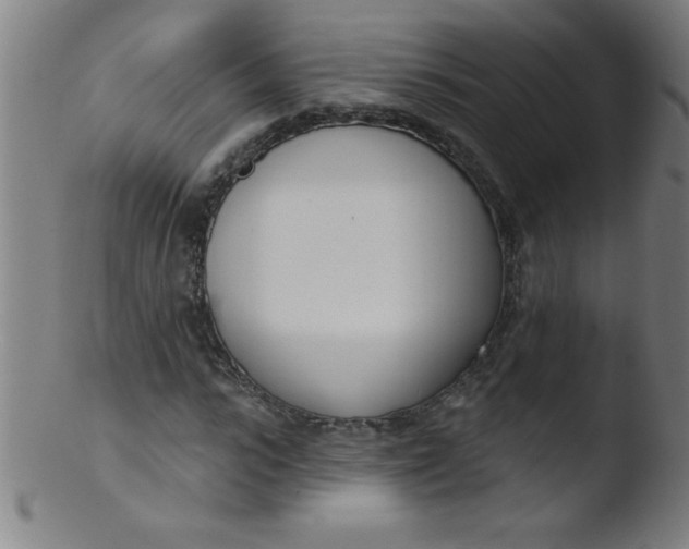 X0000103470919200809261901