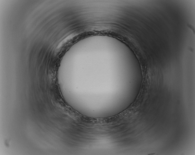 X0000103470920200809261901