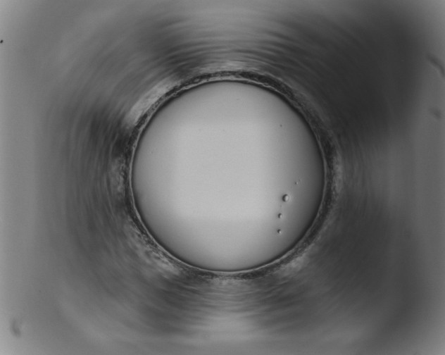 X0000103470921200809261901