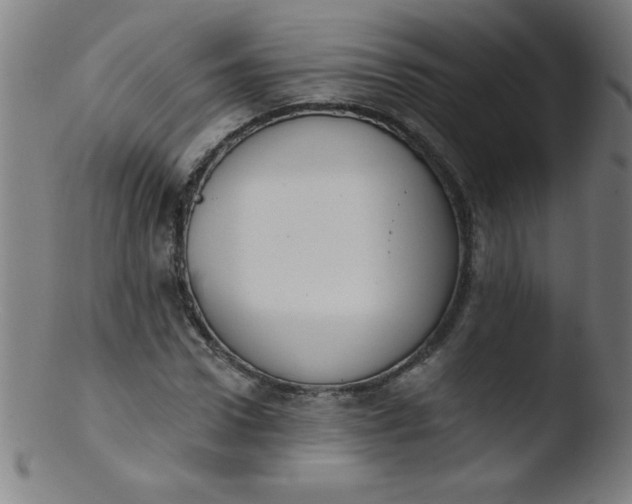 X0000103470922200809261901