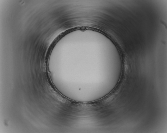 X0000103470924200809261901