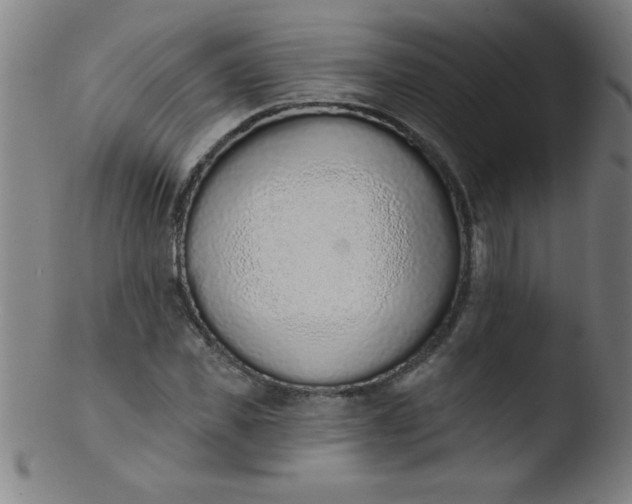 X0000103470925200809261901