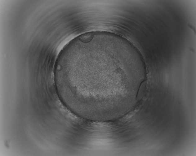 X0000103470928200809261901