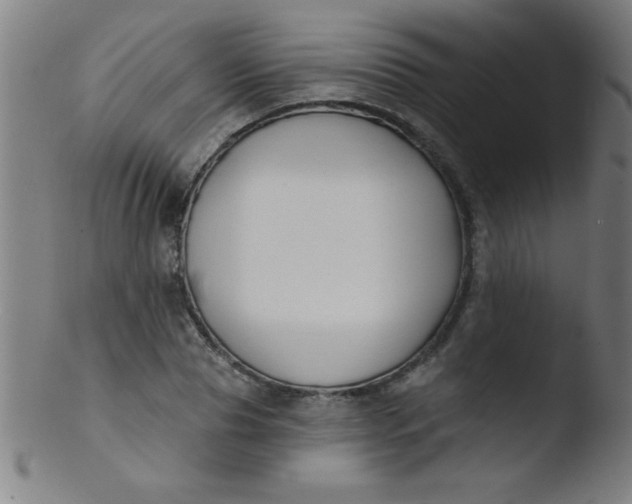 X0000103470929200809261901