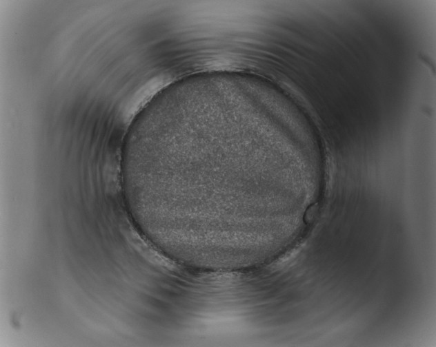 X0000103470930200809261901