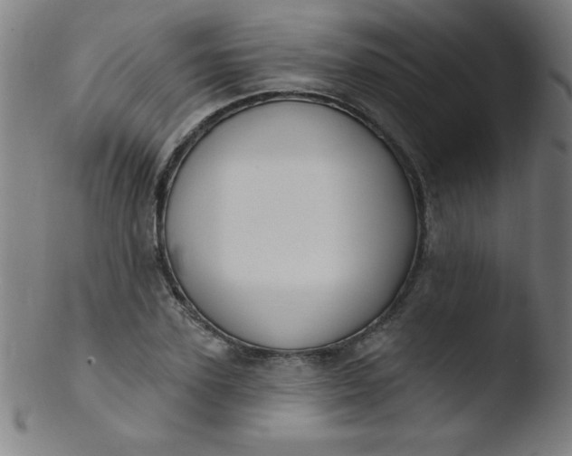 X0000103470931200809261901