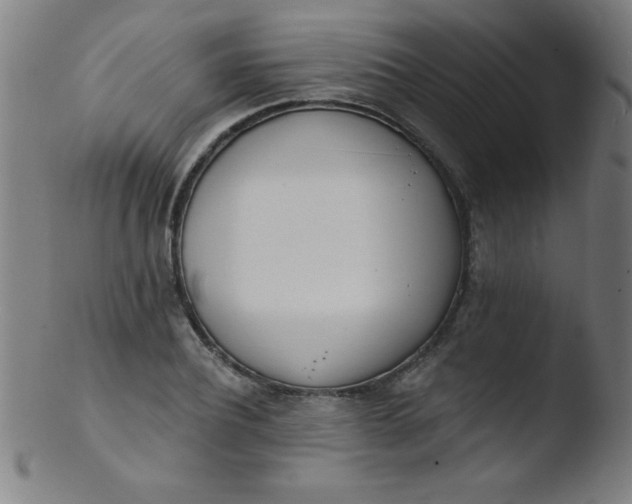 X0000103470932200809261901