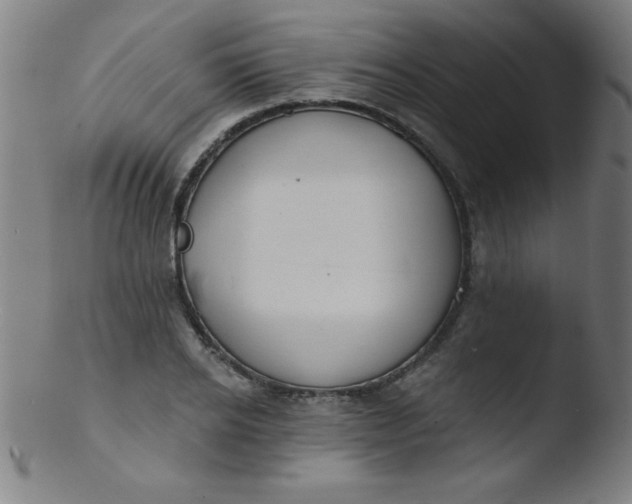 X0000103470934200809261901