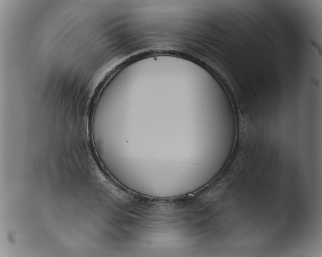 X0000103470935200809261901