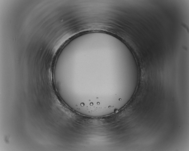 X0000103470936200809261901