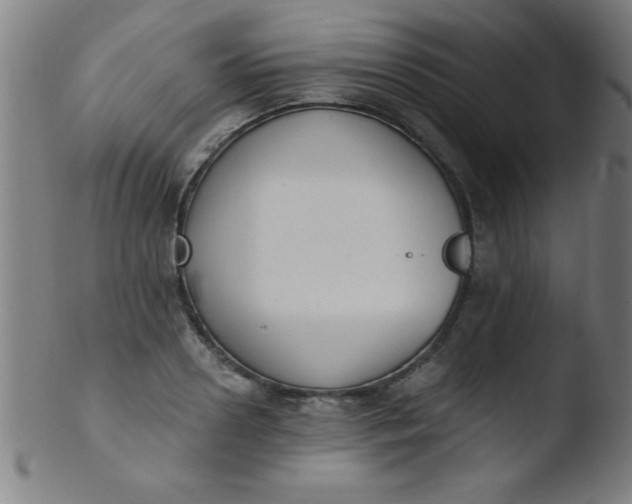 X0000103470938200809261901