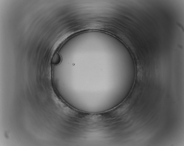 X0000103470939200809261901