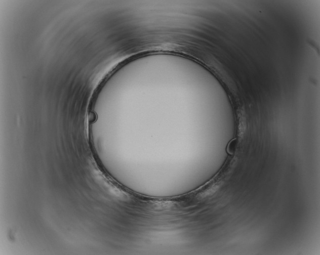 X0000103470940200809261901