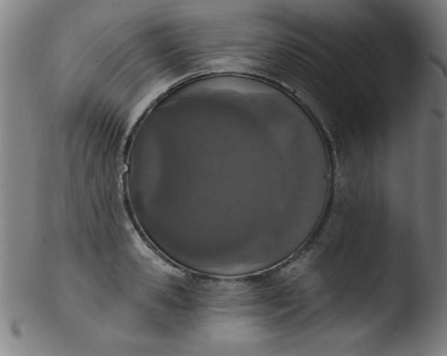 X0000103470941200809261901