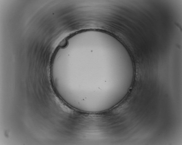 X0000103470942200809261901