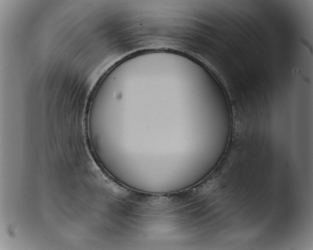 X0000103470943200809261901