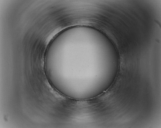 X0000103470944200809261901