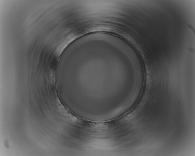 X0000103470945200809261901