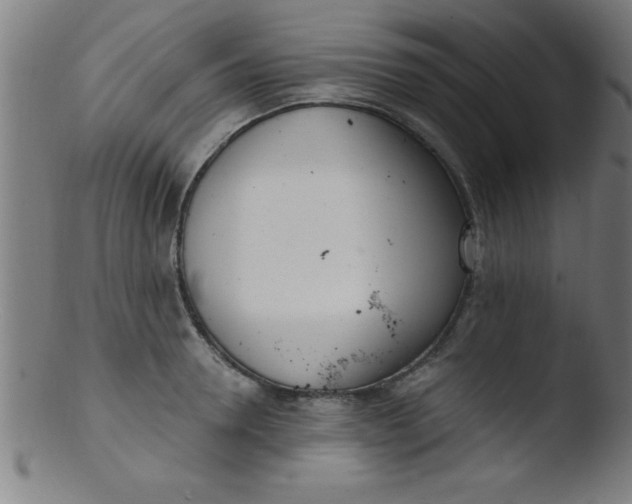 X0000103470946200809261901