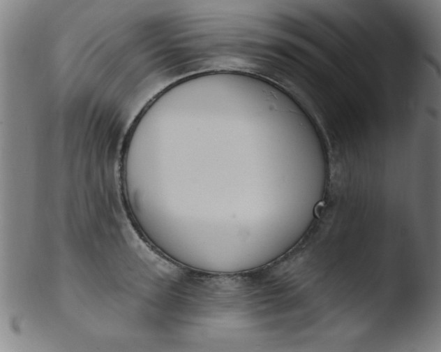 X0000103470947200809261901