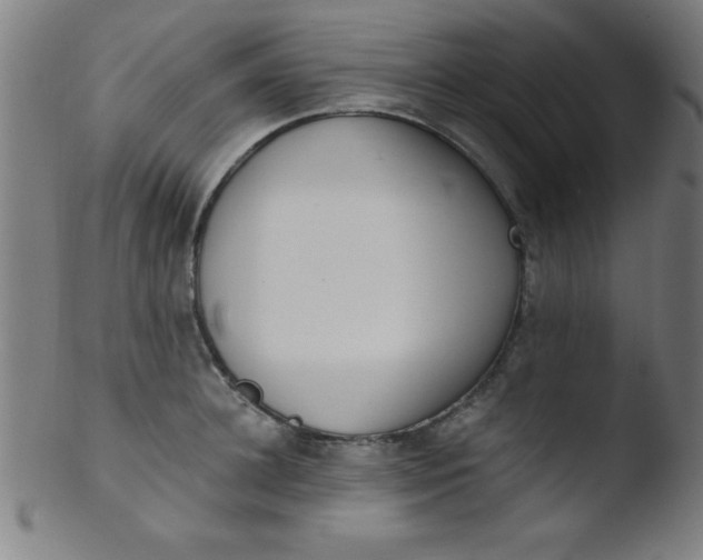 X0000103470948200809261901