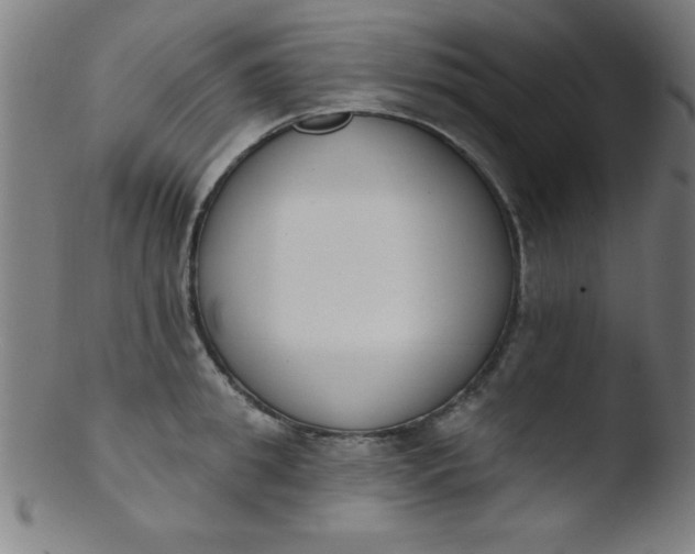 X0000103470949200809261901