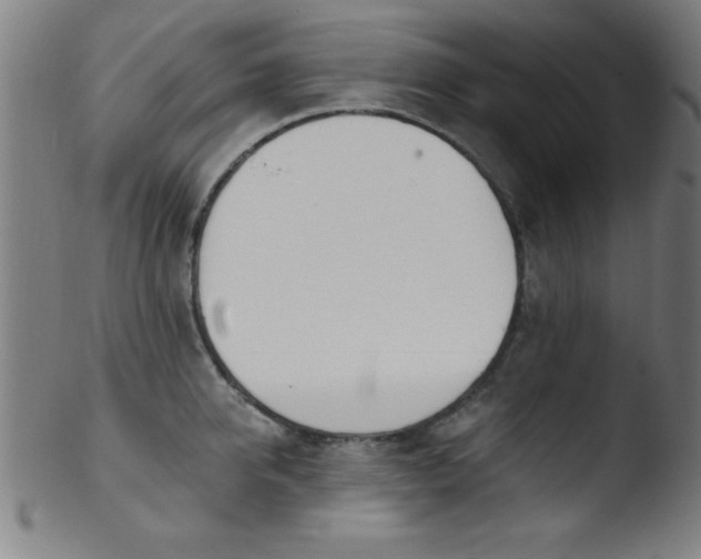 X0000103470950200809261901