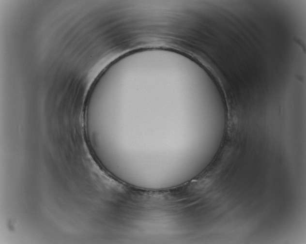 X0000103470951200809261901