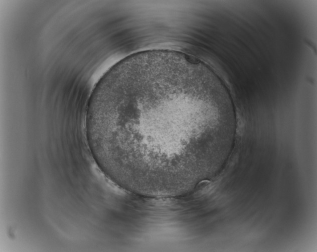 X0000103470952200809261901