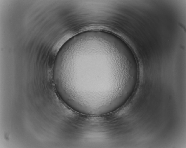 X0000103470953200809261901