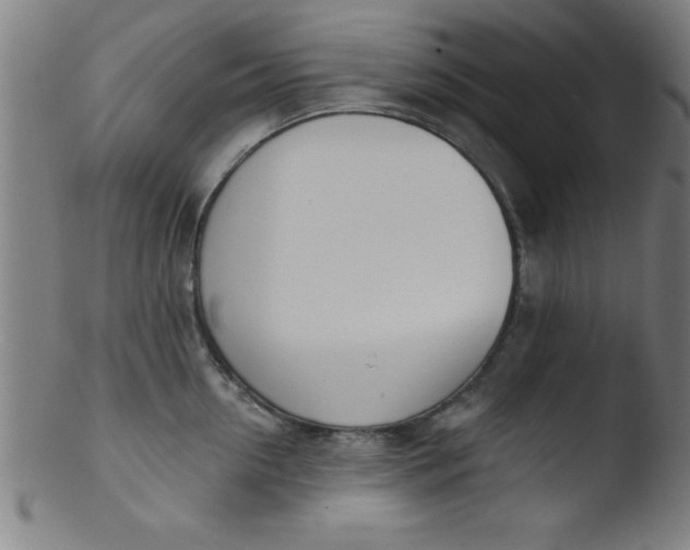 X0000103470954200809261901