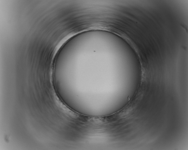 X0000103470955200809261901