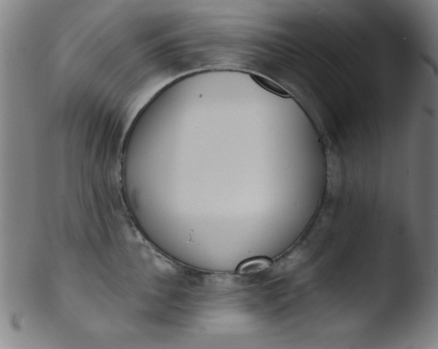 X0000103470956200809261901