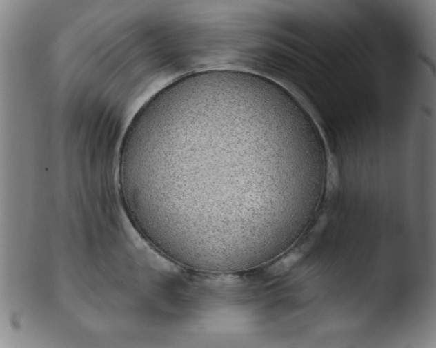 X0000103470957200809261901