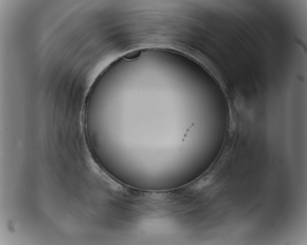 X0000103470958200809261901