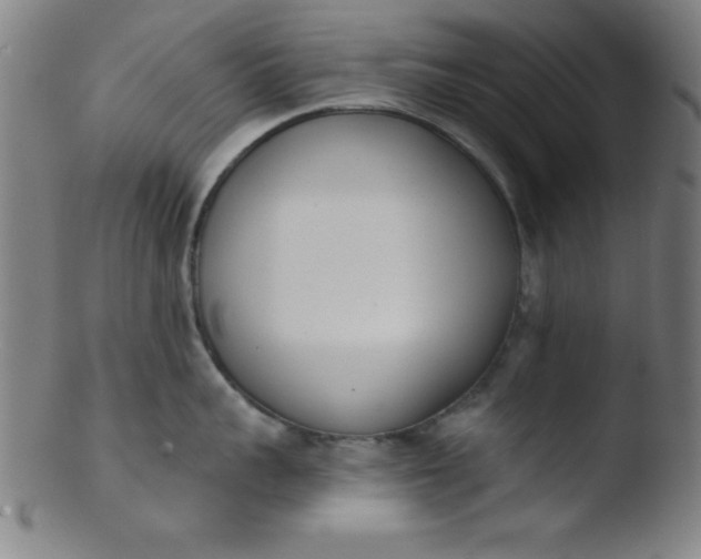 X0000103470959200809261901