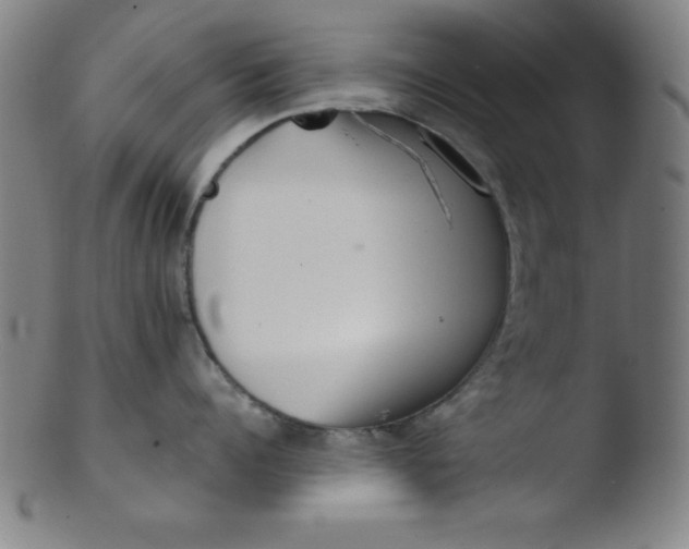 X0000103470960200809261901