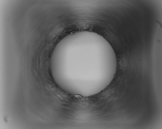 X0000103470961200809261901