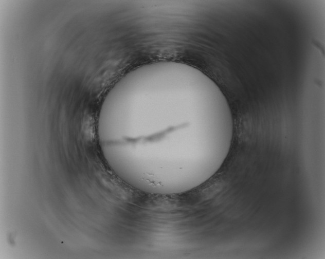 X0000103470962200809261901