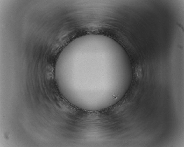 X0000103470964200809261901