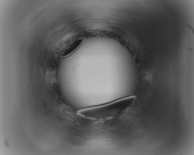 X0000103470965200809261901