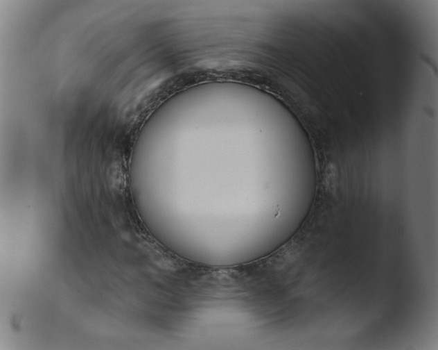 X0000103470966200809261901