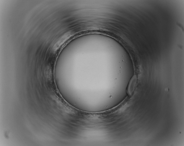 X0000103470969200809261900