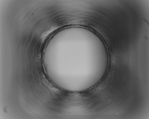 X0000103470971200809261900