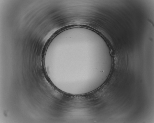 X0000103470972200809261900