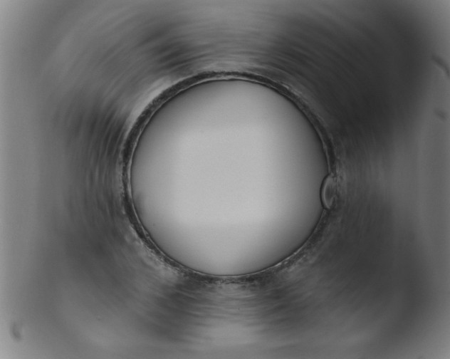 X0000103470976200809261900